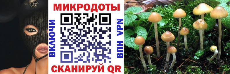 Купить закладки  Серпухов  Псилоцибиновые грибы MAGIC MUSHROOMS 